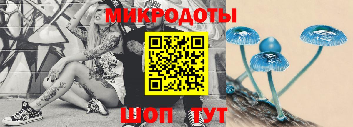 Псилоцибиновые грибы ЛСД  Вход с VPN  Псилоцибиновые грибы мицелий  Россия 