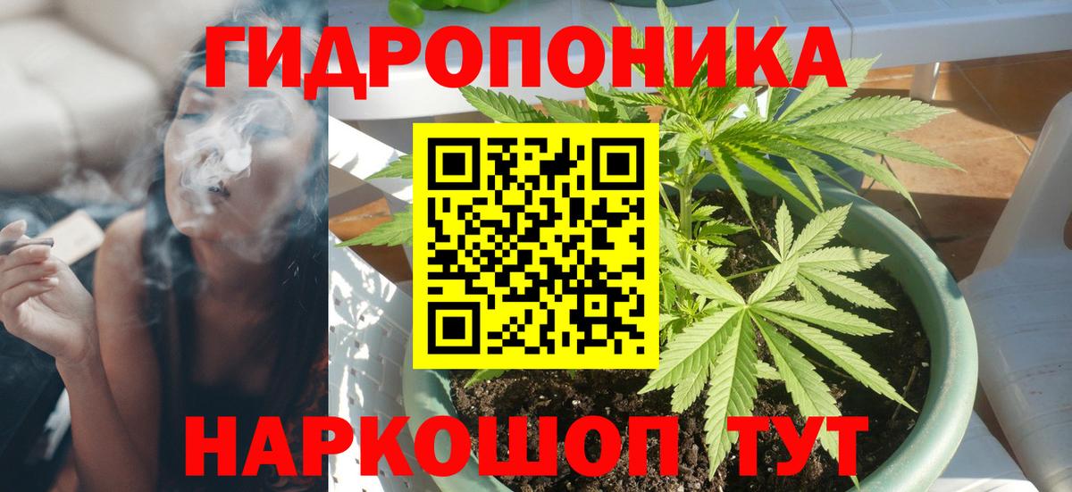 Канабис конопля Россия